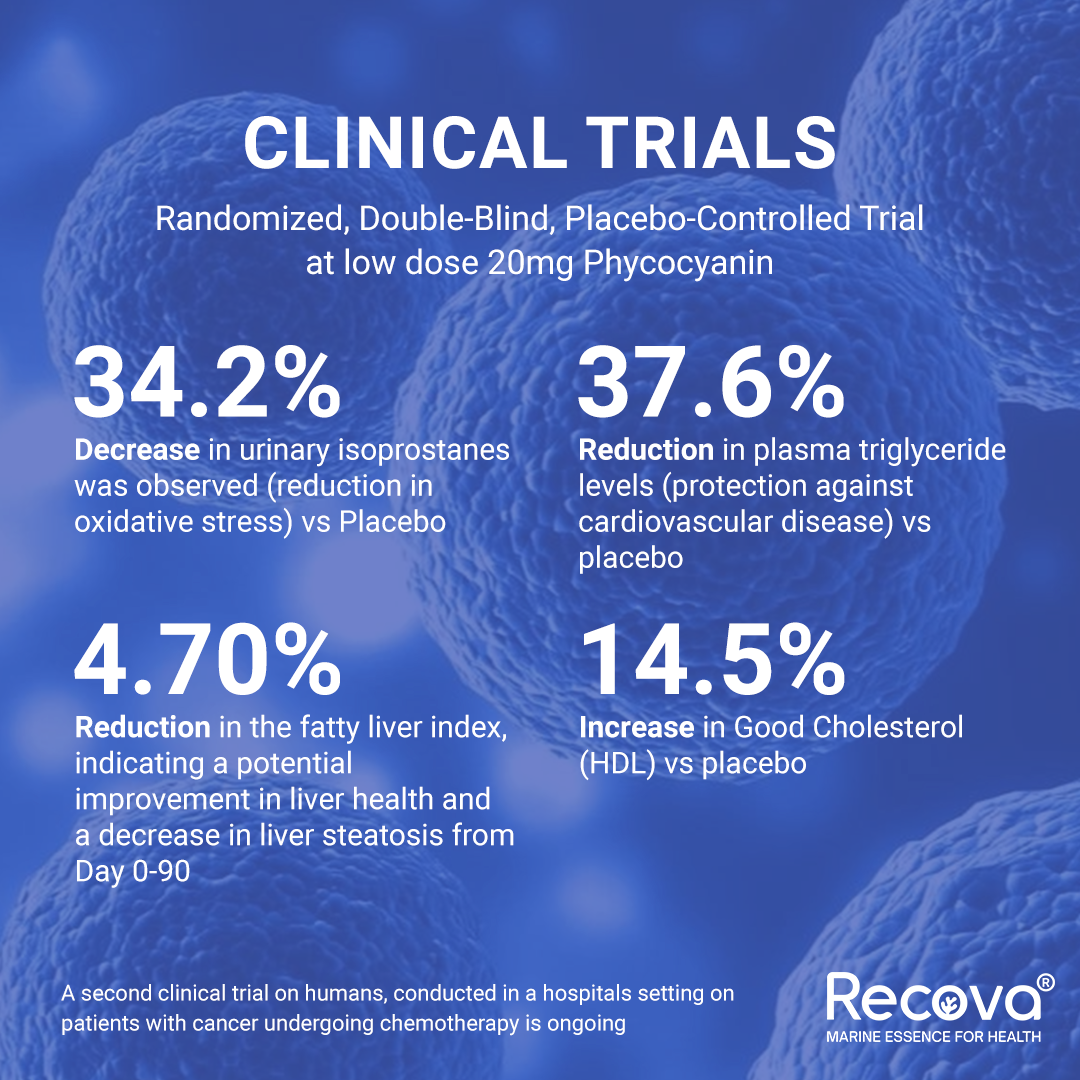 Recover + Rejuvenate - Bestseller Bundle Duo (Recovery & Healthy Ageing)